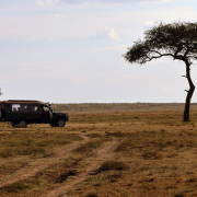 Safari i Kenya - Great Plains Conservation